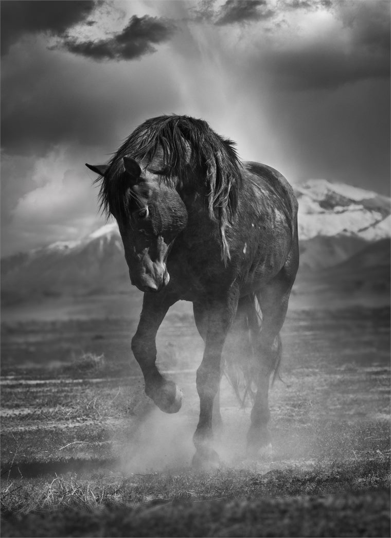 black and white