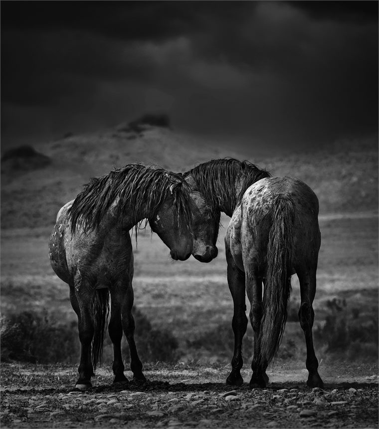 black and white