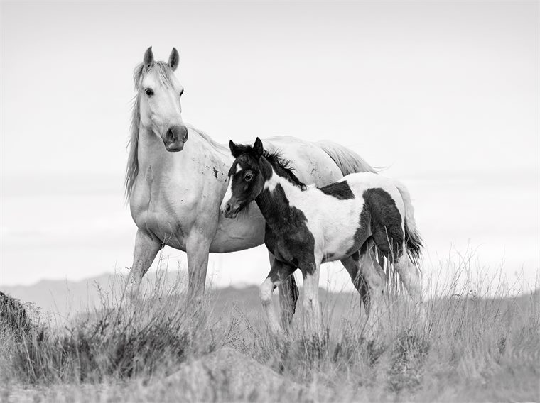 Black and White