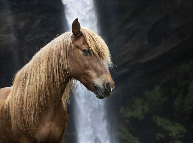 iceland