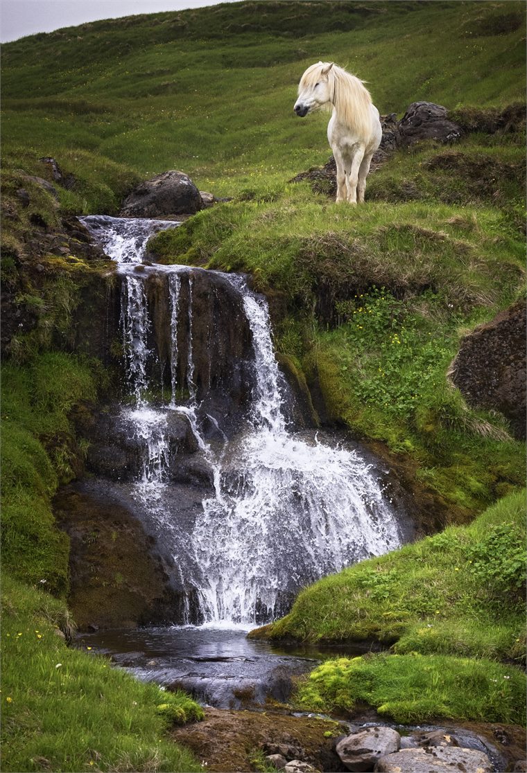 iceland