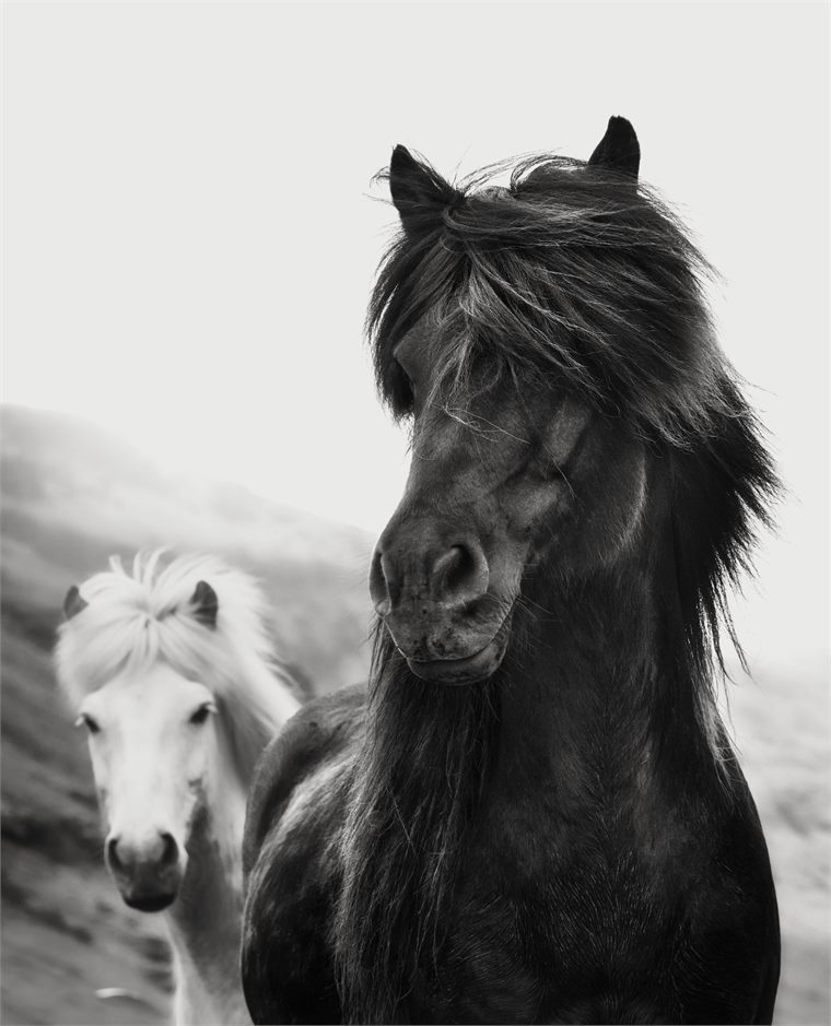 black and white