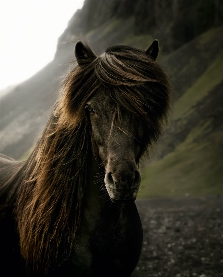 iceland